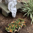 Campania International, Inc Handmade Planter & Reviews | Perigold